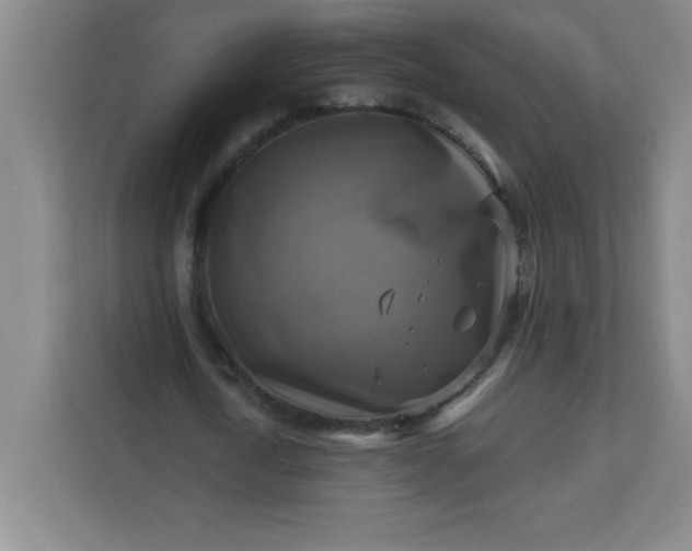 X0000113300722200909281104