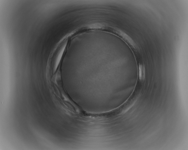 X0000113300723200909281104