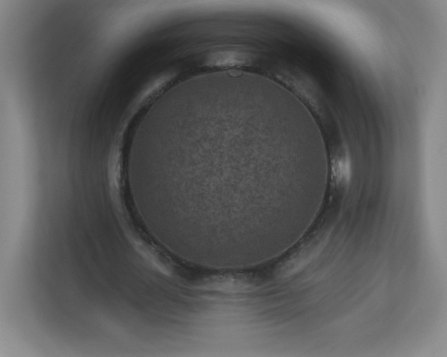 X0000113300724200909281104