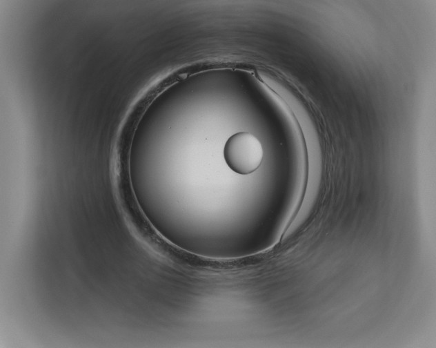 X0000113300726200909281104