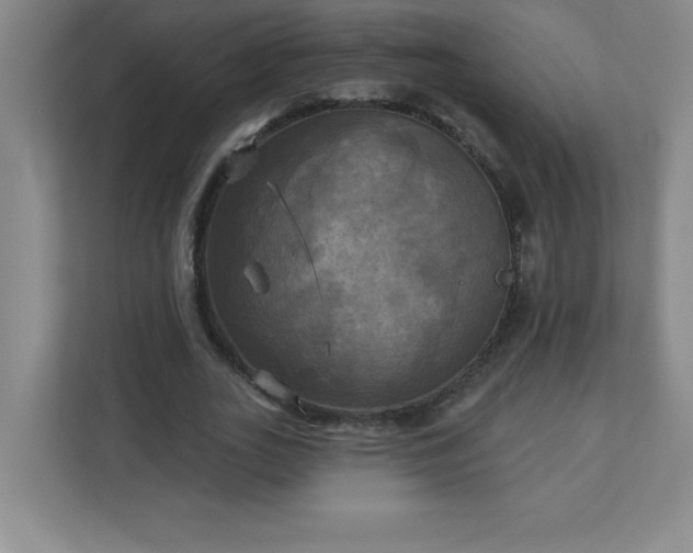 X0000113300727200909281104