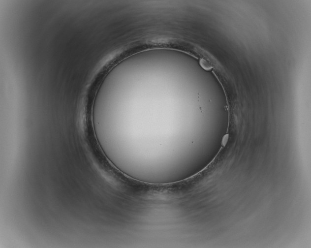 X0000113300728200909281104