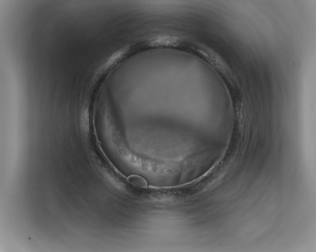 X0000113300729200909281104