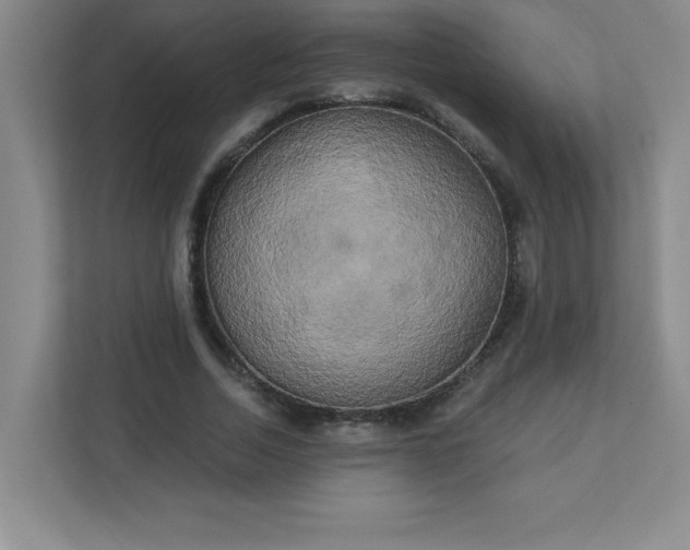 X0000113300730200909281104