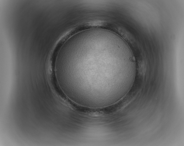 X0000113300731200909281104