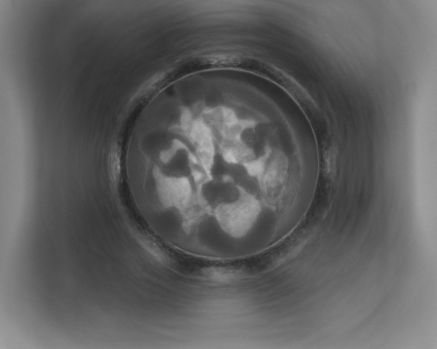 X0000113300733200909281104