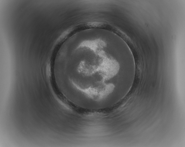 X0000113300734200909281104