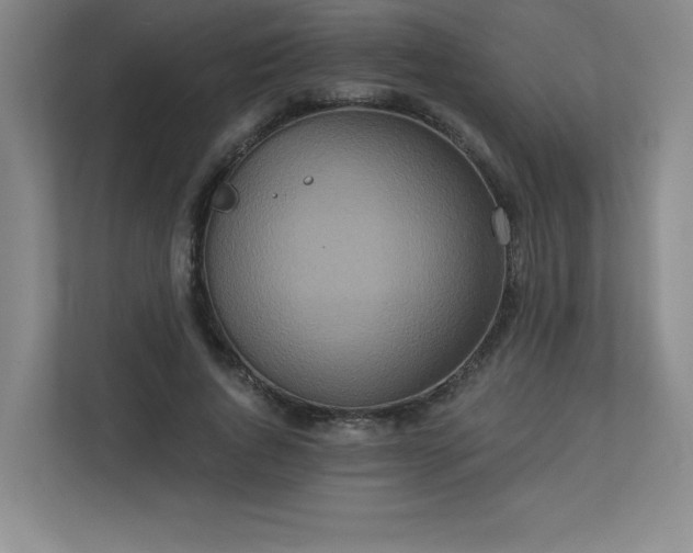 X0000113300736200909281104