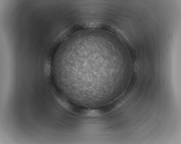 X0000113300741200909281104