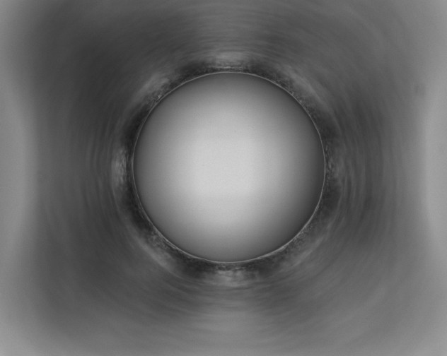 X0000113300744200909281104