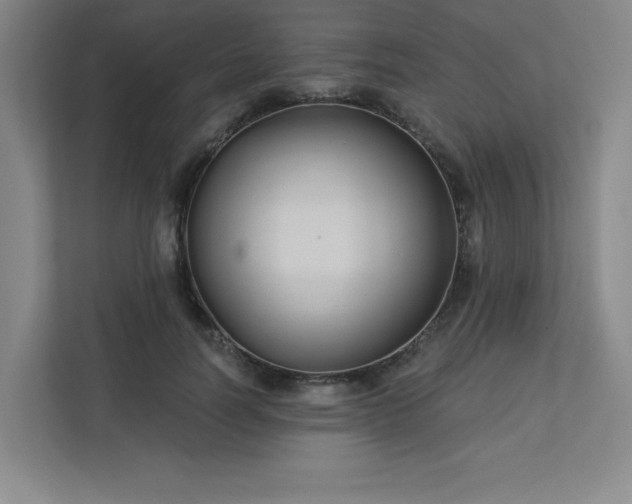 X0000113300746200909281104