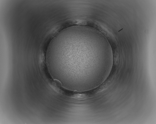 X0000113300748200909281104