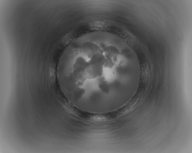 X0000113300749200909281104