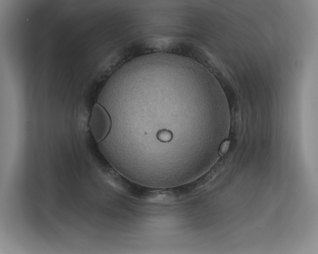 X0000113300750200909281104