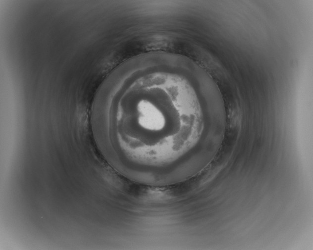 X0000113300753200909281104