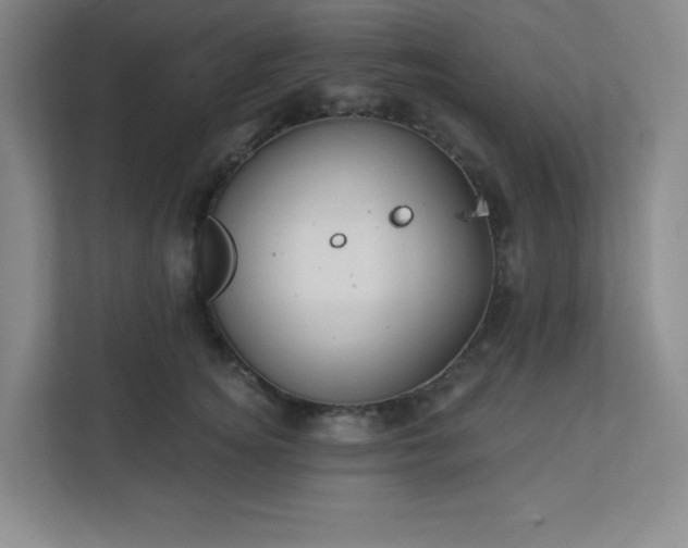 X0000113300756200909281104