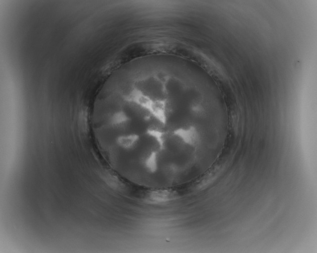 X0000113300757200909281104