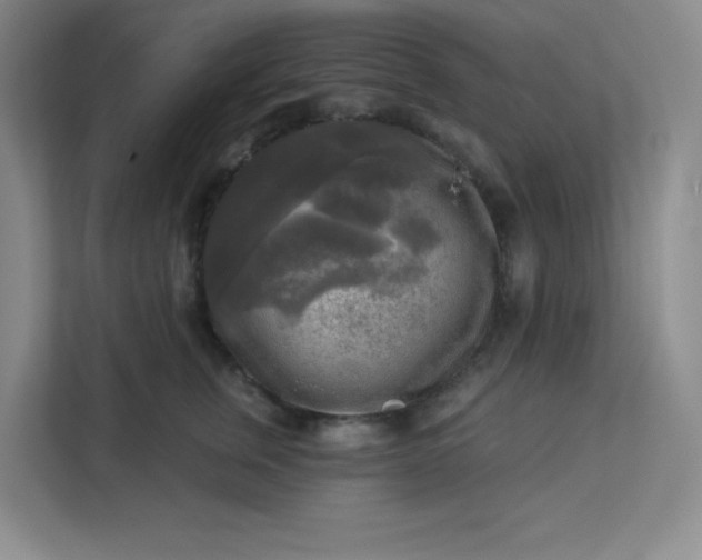 X0000113300759200909281104