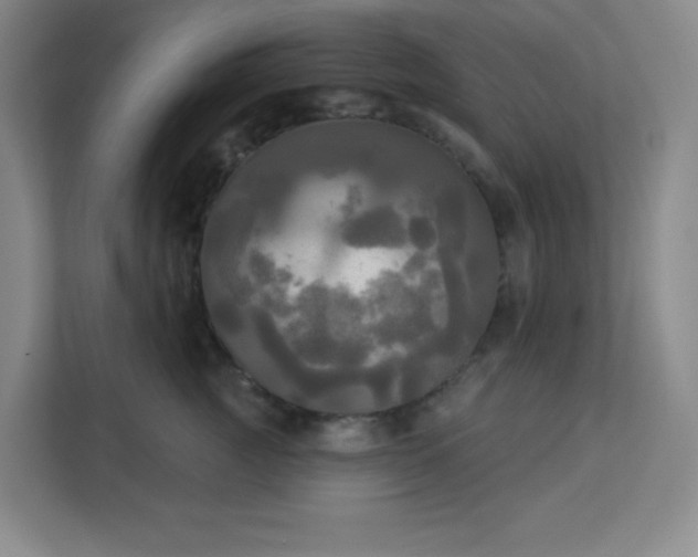 X0000113300761200909281104