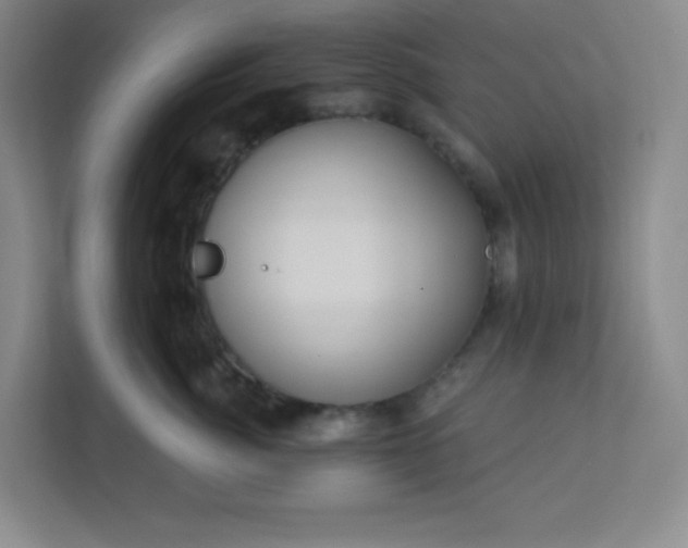 X0000113300764200909281104