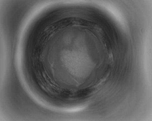 X0000113300765200909281104