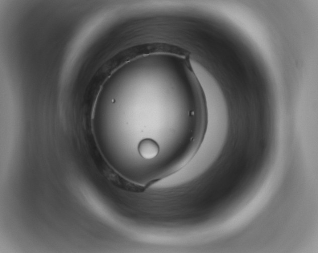 X0000113300766200909281104