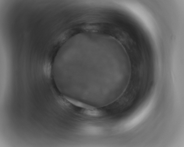 X0000113300767200909281104