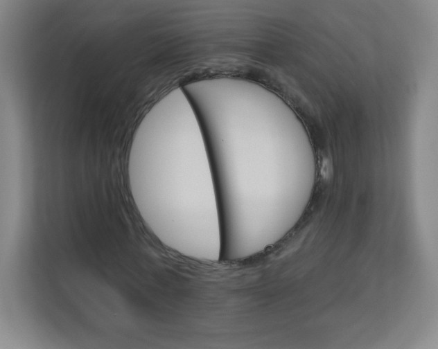 X0000113300771200909281104