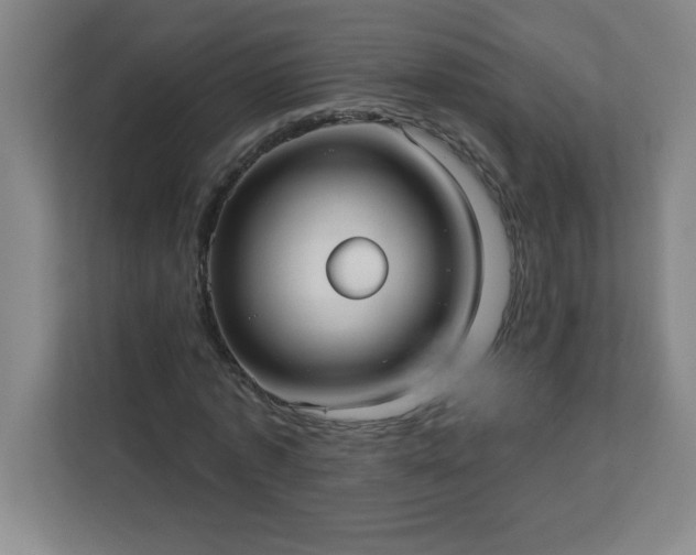 X0000113300773200909281103