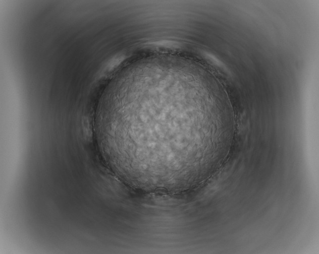 X0000113300774200909281103