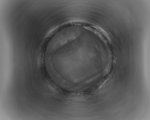 X0000113300775200909281103