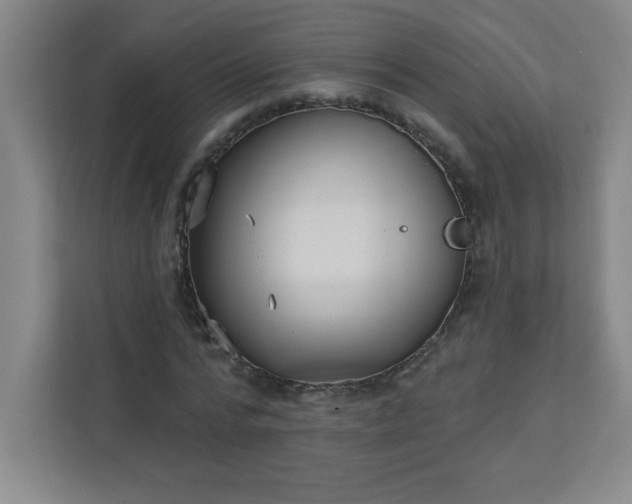 X0000113300776200909281103