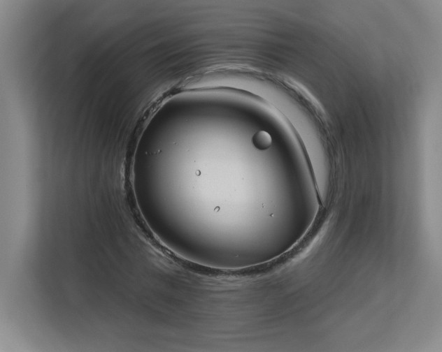 X0000113300777200909281103