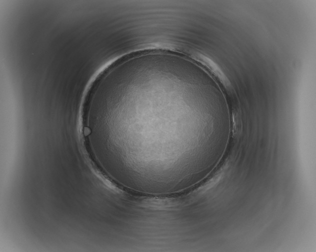 X0000113300780200909281103