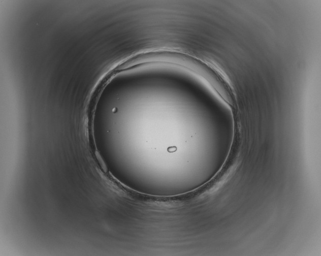 X0000113300781200909281103