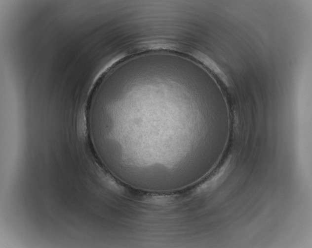 X0000113300782200909281103