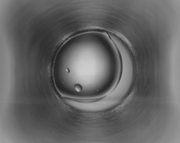 X0000113300785200909281103