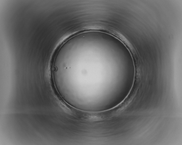 X0000113300787200909281103