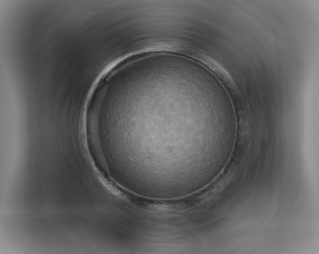 X0000113300792200909281103