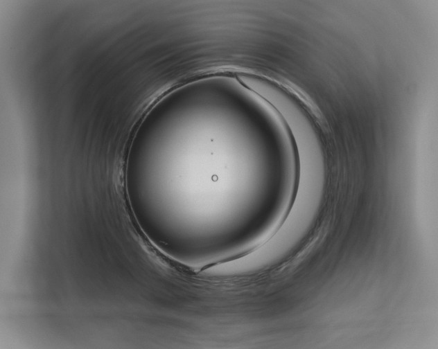 X0000113300793200909281103