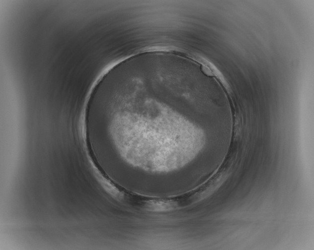 X0000113300795200909281103