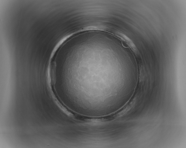 X0000113300796200909281103