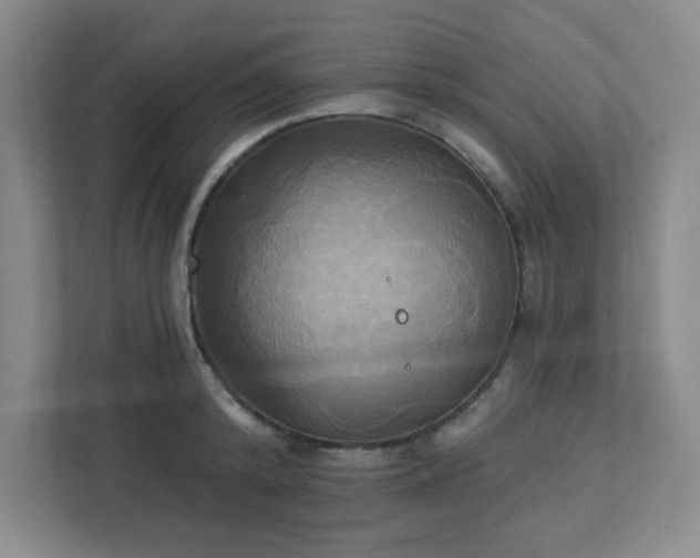 X0000113300800200909281103