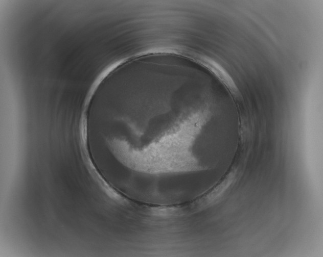 X0000113300804200909281103