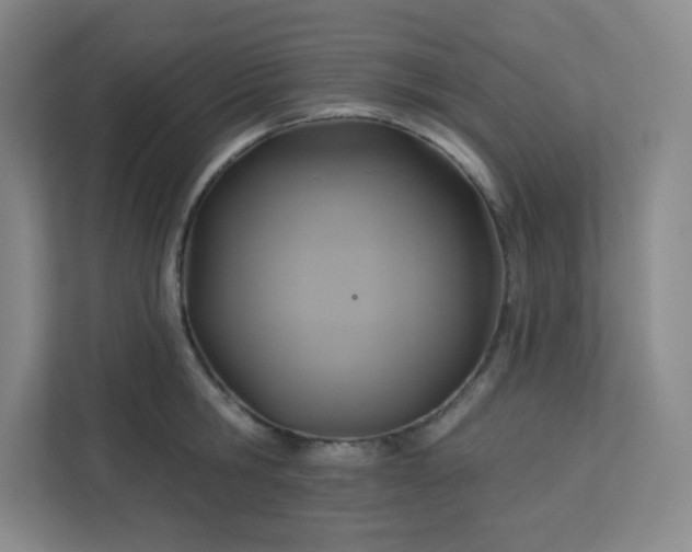 X0000113300806200909281103