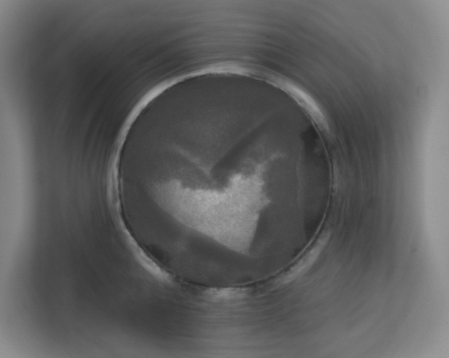 X0000113300808200909281103