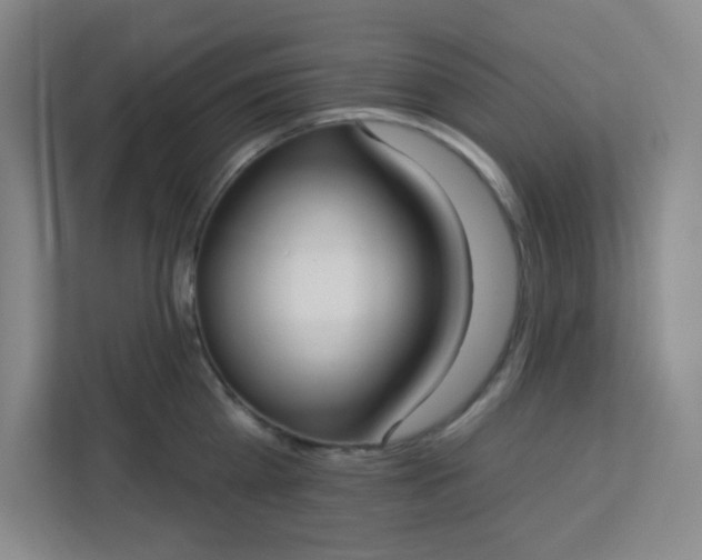 X0000113300809200909281103