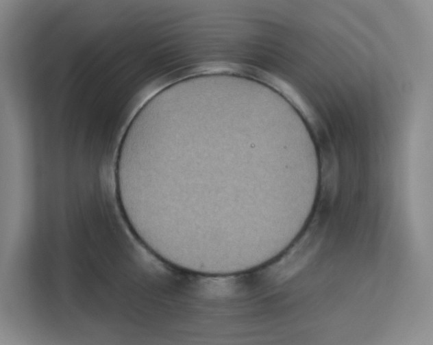 X0000113300810200909281103