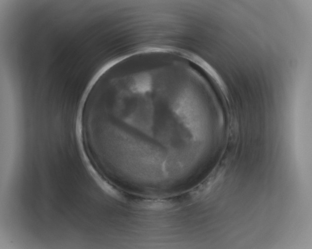 X0000113300811200909281103