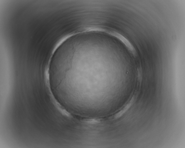 X0000113300814200909281103